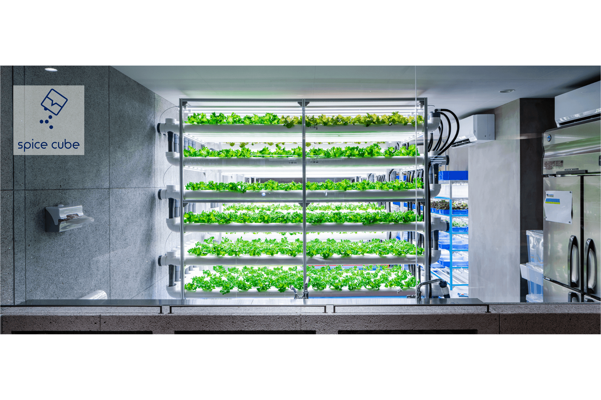 スパイスキューブ株式会社ロゴ